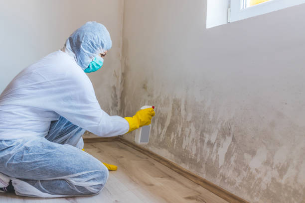 Hvac And Air Duct Mold Remediation inspection of HVAC system in The Plains